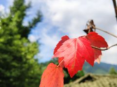-红峡谷