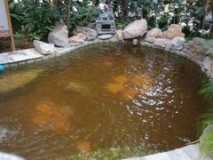 android_upload_pic-金隅凤山酒店