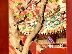 -故宫博物院(故宫)