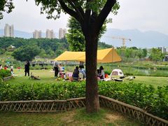 -牛岗山公园