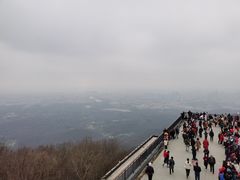 -紫金山山顶公园
