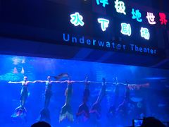 -泉城欧乐堡海洋极地世界