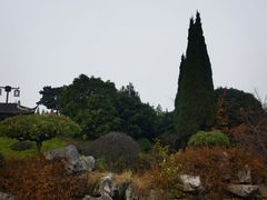 -梅园