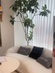 -WENDY·温迪皮肤管理