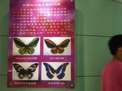 -上海昆虫博物馆