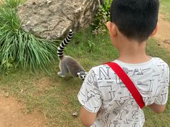 -秦皇岛野生动物园