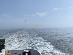 -舟山嵊泗列岛风景名胜区