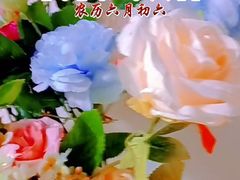 -老码头黑皮肘子锅包肉(文政街店)