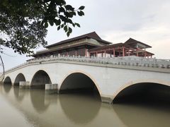 -大湾区中央湿地公园