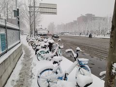 -锦尚阁烤鱼(望京新荟城店)