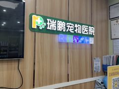 -瑞鹏宠物医院·夜间急症·心超·猫科(祖庙分店)