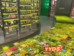 -HOWOW·D2Y(柏威年店)