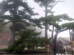 -妙峰山风景名胜区