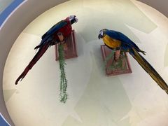 -陕西自然博物馆