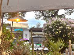 -自由生长植物工作室(深港花卉中心店)