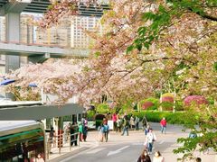 -上海南浦大桥长途旅游客运站