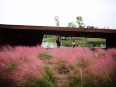 -三圣花乡旅游区