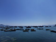 -海源公园