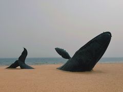 -烟台金沙滩海滨公园