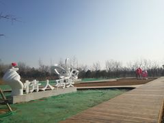-东郊湿地公园
