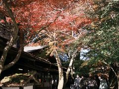 -三千院