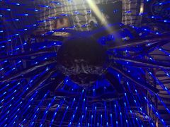 -蟹之国·精品蟹料理(极地店)