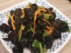 凉拌木耳-夏雪花·手工拉面(南油店)