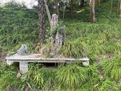 -扬州大运河文化旅游度假区·盆景园