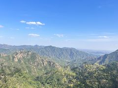 -大岭沟猕猴桃谷风景区