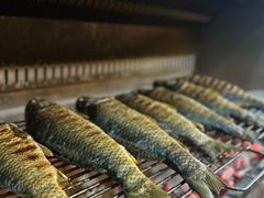 -杨合林啊兰烤鱼