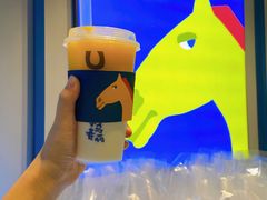 -春丽小马(济南恒隆广场店)