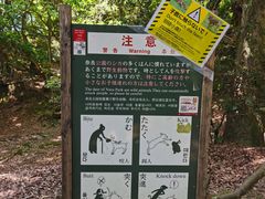 -奈良公园