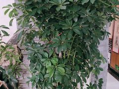 -一块豆腐·海鲜·家常菜(李沧书院路店)