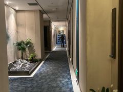 -鼎族怡华·指压·经络·疗愈SPA(紫荆店)