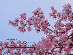 -九皇山景区