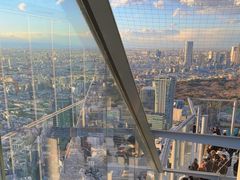 -六本木新城展望台(东京城市景观)