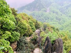 -南山植物园