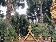 -西双版纳总佛寺