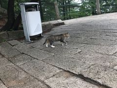 -崂山巨峰游览区