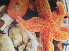 -威海渔村(黄兴路店)