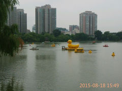 android_upload_pic-紫竹院公园冰场