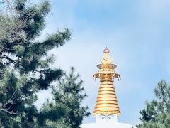 -护国法轮寺