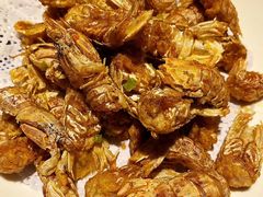 -旺角小渔村(幸福中路店)