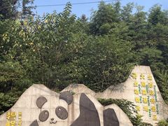 -碧峰峡风景区
