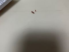 -美好火腿肠直销部