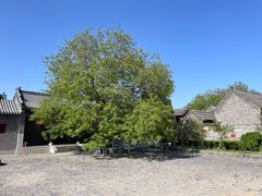 -杨家埠民间艺术大观园