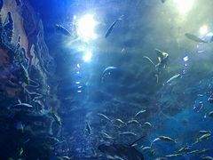 -华夏文旅海洋公园