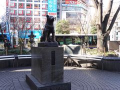 -涩谷区