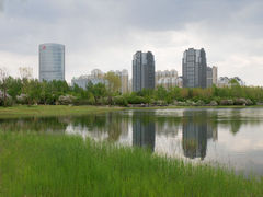 -群力丁香公园