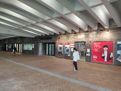 -香港大学
